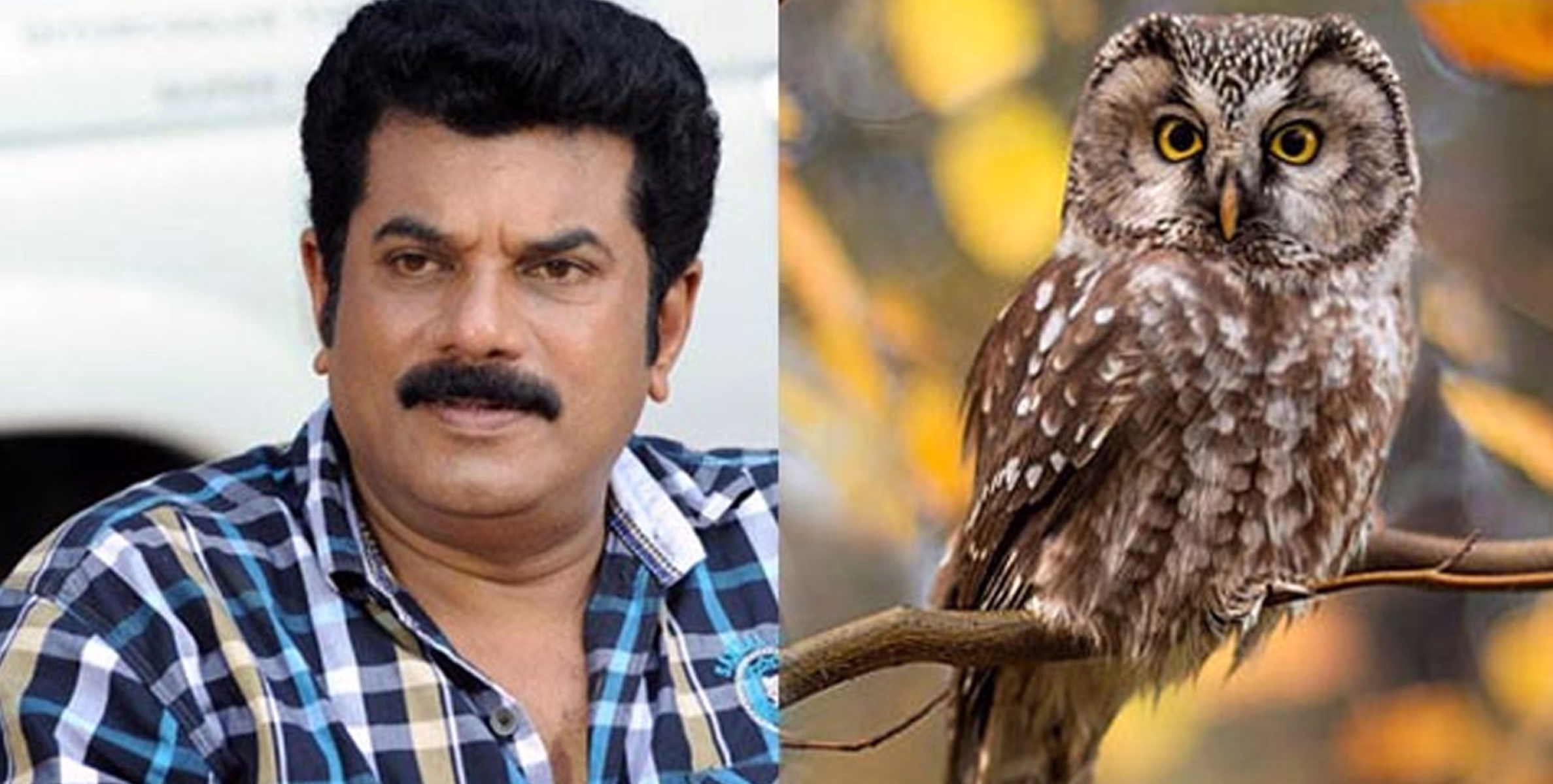 ആ സിനിമയുടെ വിജയത്തിന് പിന്നിൽ പ്രവർത്തിച്ചത് മൂങ്ങ 